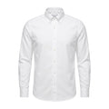 White Oxford Shirt